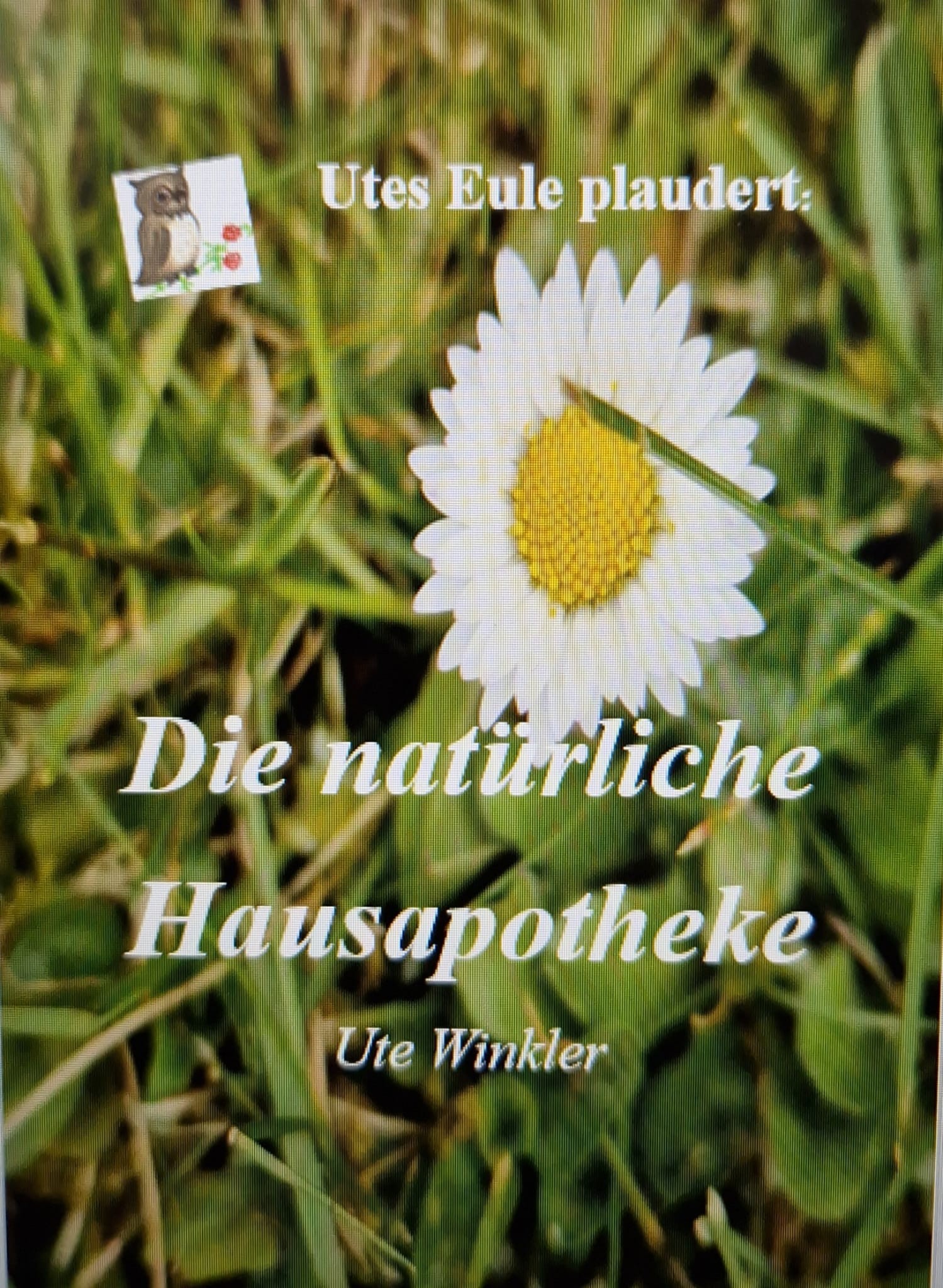 Wenn Projekte ineinander übergehen